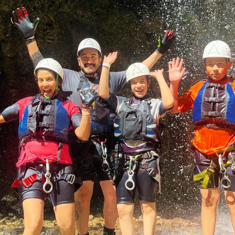 Matacanes en Monterrey